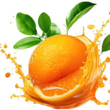 orange-boffee-and-bites orange-boffee-and-bites