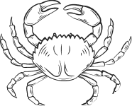 crab Boffee-and-Bites