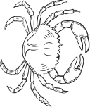 crab1 Boffee-and-Bites