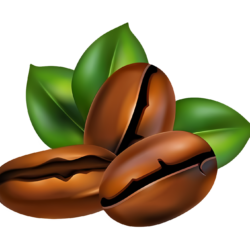 coffee-beans-boffeeandbites coffee-beans-boffeeandbites